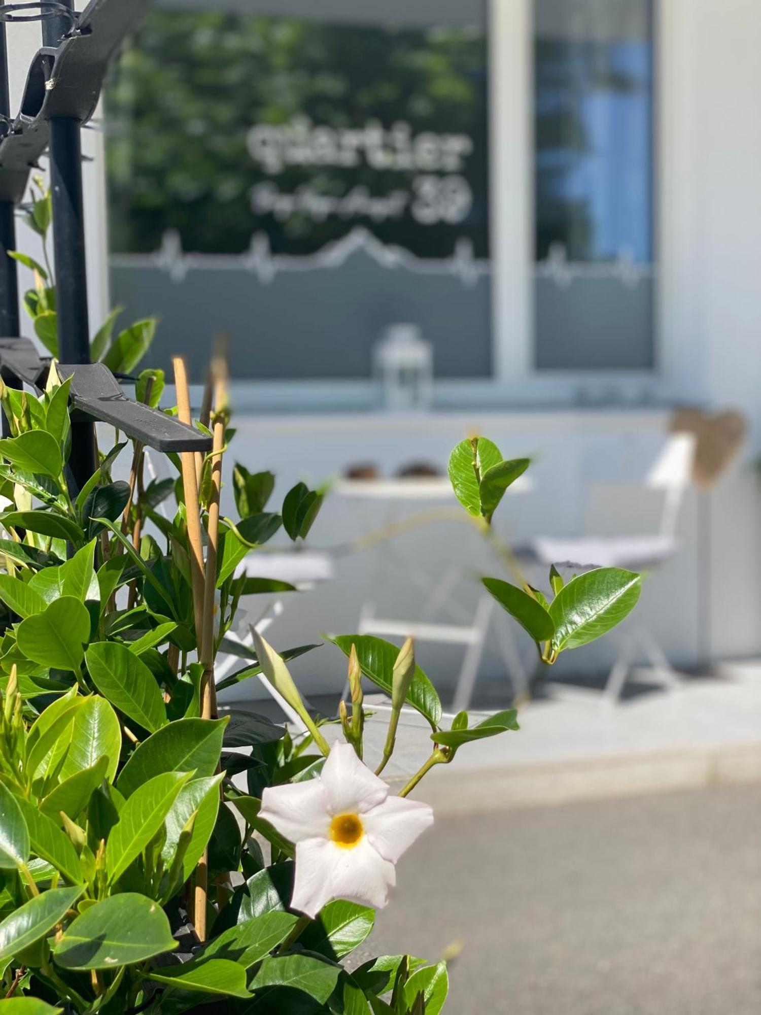 Quartier39 Lejlighed St. Johann in Tirol Eksteriør billede
